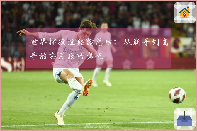 世界杯投注经验总结：从新手到高手的实用技巧盘点