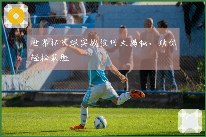 世界杯买球实战技巧大揭秘，助你轻松获胜