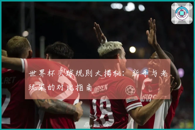 世界杯买球规则大揭秘：新手与老玩家的对比指南