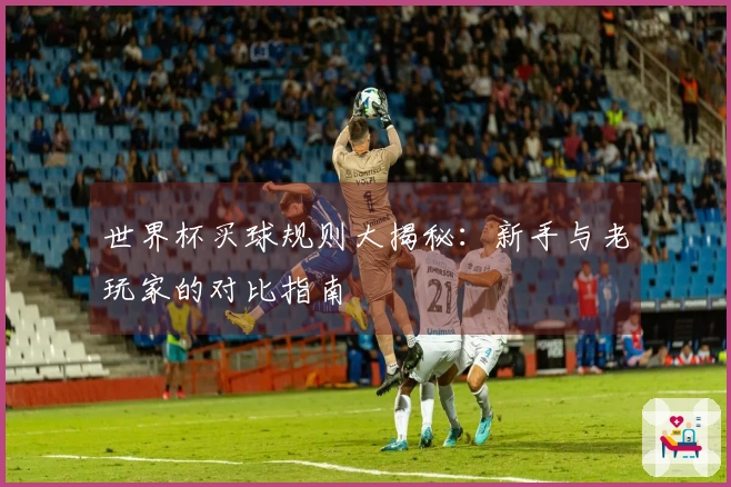 世界杯买球规则大揭秘：新手与老玩家的对比指南